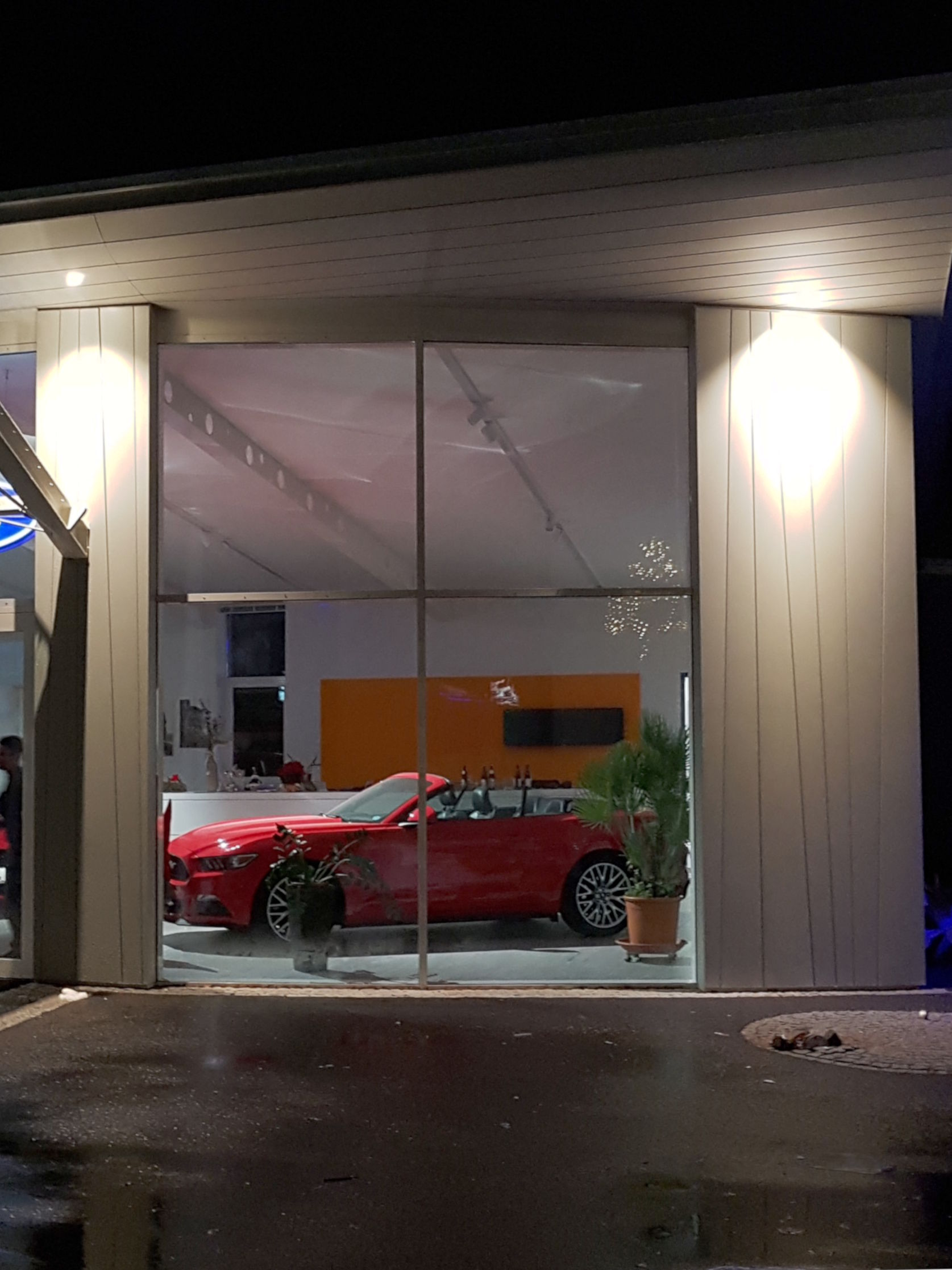 Ein Mustang hinter Glas