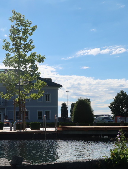 Schwimmteich und Löschteich